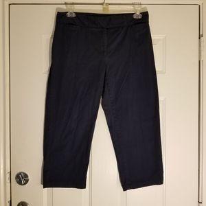 Van Heusen navy capri Sixe 12 no flaws, stretch